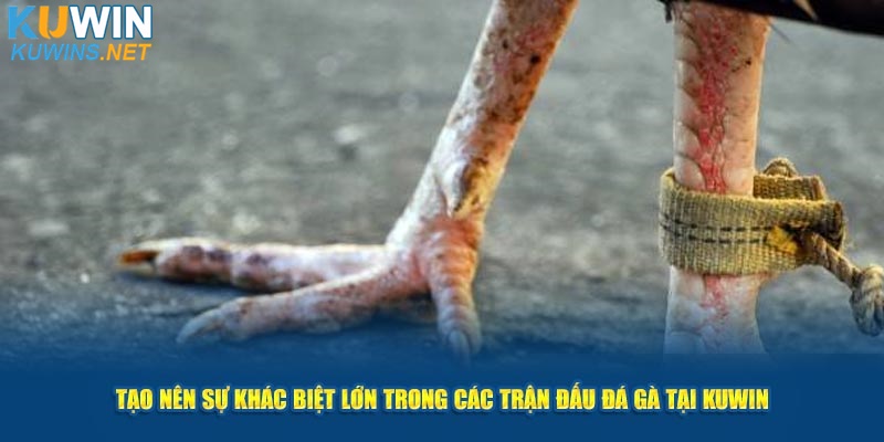 Tạo nên sự khác biệt lớn trong các trận đấu tại Kuwin