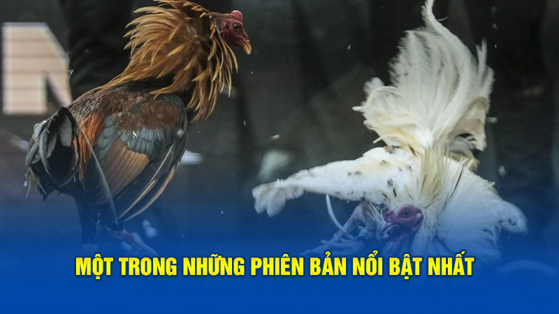 Một trong loạt những phiên bản nổi bật nhất thị trường