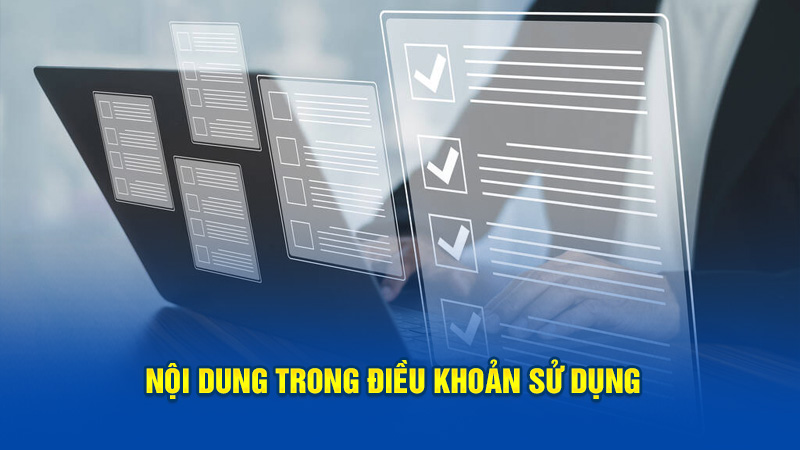 Nội dung cần nắm được ở điều khoản sử dụng