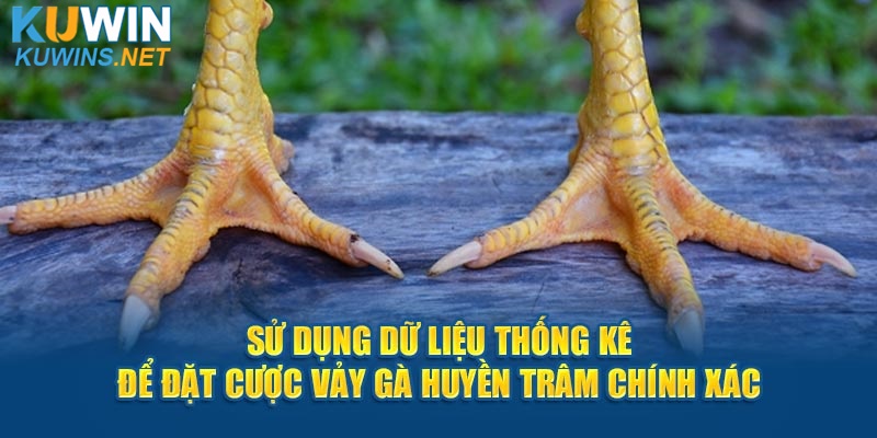 Sử dụng dữ liệu thống kê để đặt cược vảy gà Huyền Trâm chính xác 