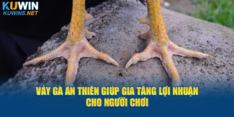 Vảy gà Án Thiên giúp gia tăng lợi nhuận cho người chơi